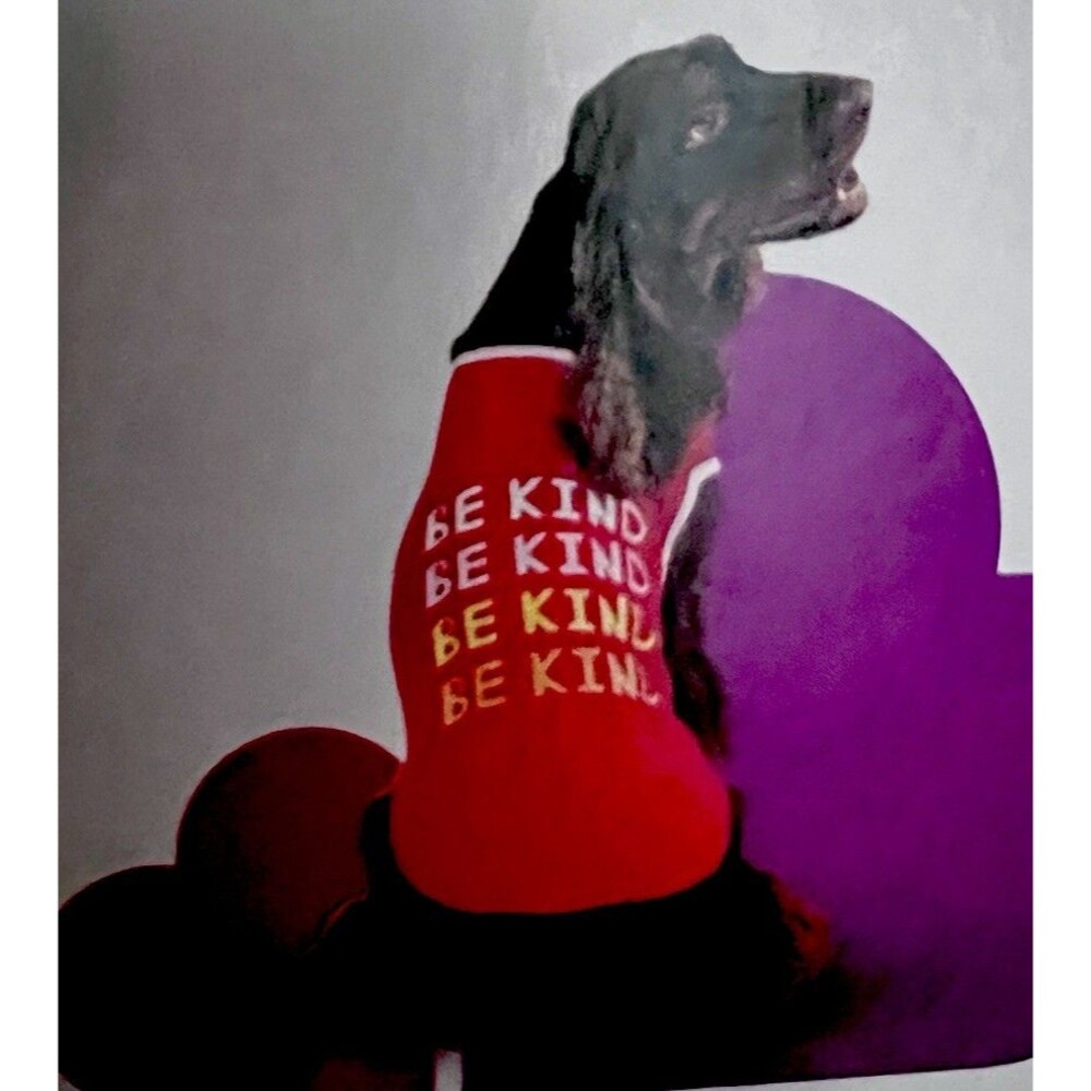 Boots & Barkley Be Kind Pet Dog Shirt Size L-XL Top Apparel Red New